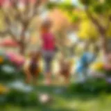 Barbie and her dogs exploring a vibrant park