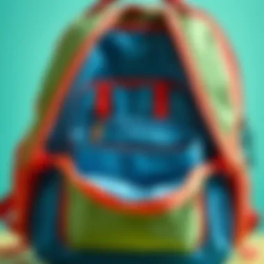 A close-up of Carrefoursa school backpack features and compartments