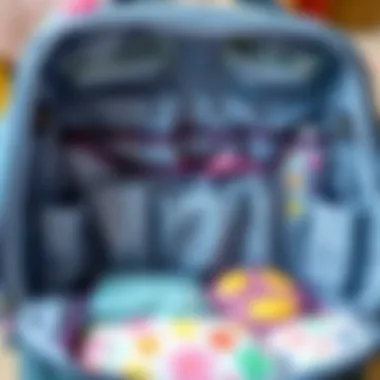 Efficiently Organized Interior Interior compartments of the diaper bag