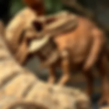 Close-up of a long-necked dinosaur's fossilized remains